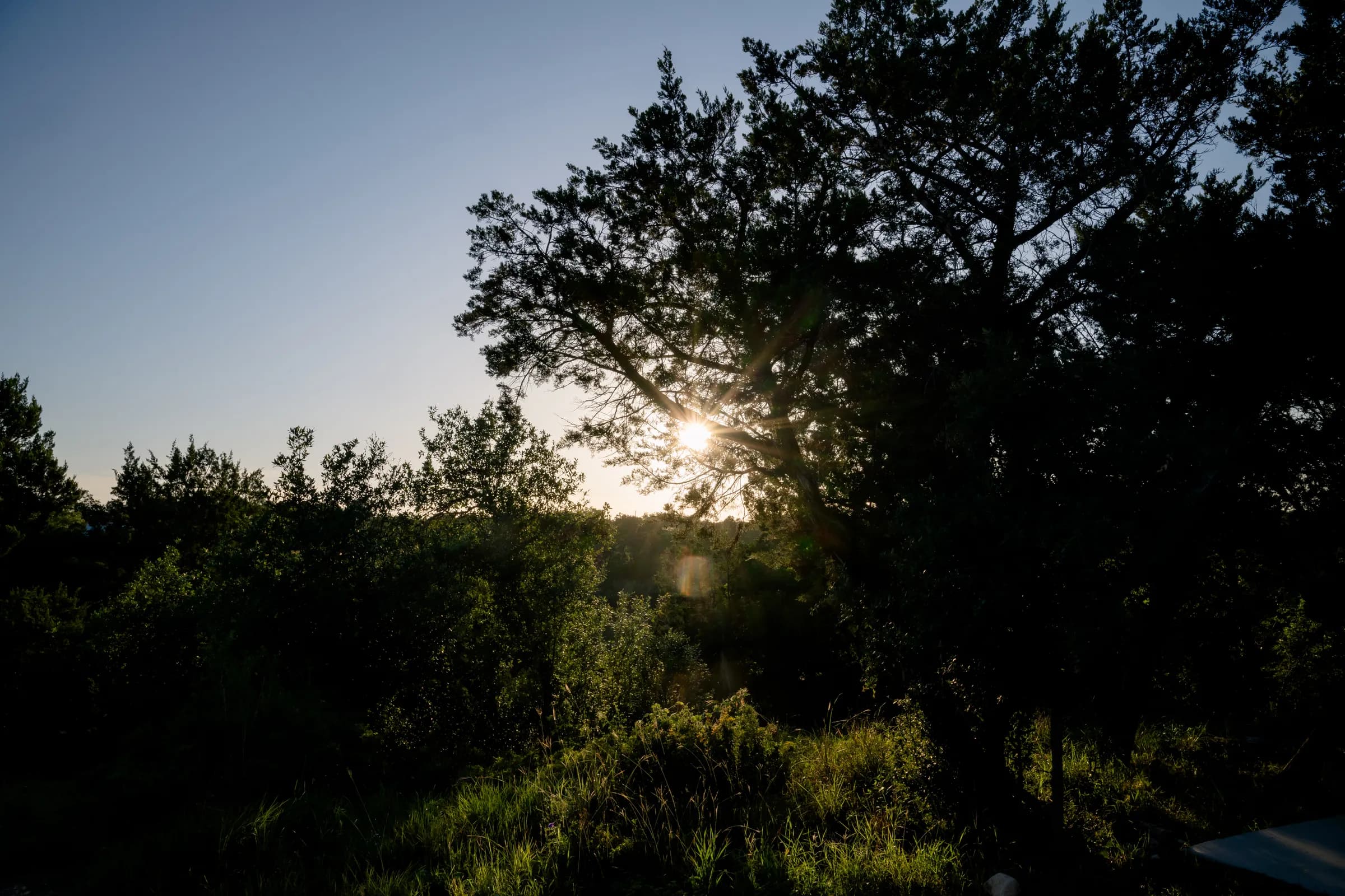Sunset through the oaks on the canyon edge at Wayside Wimberley