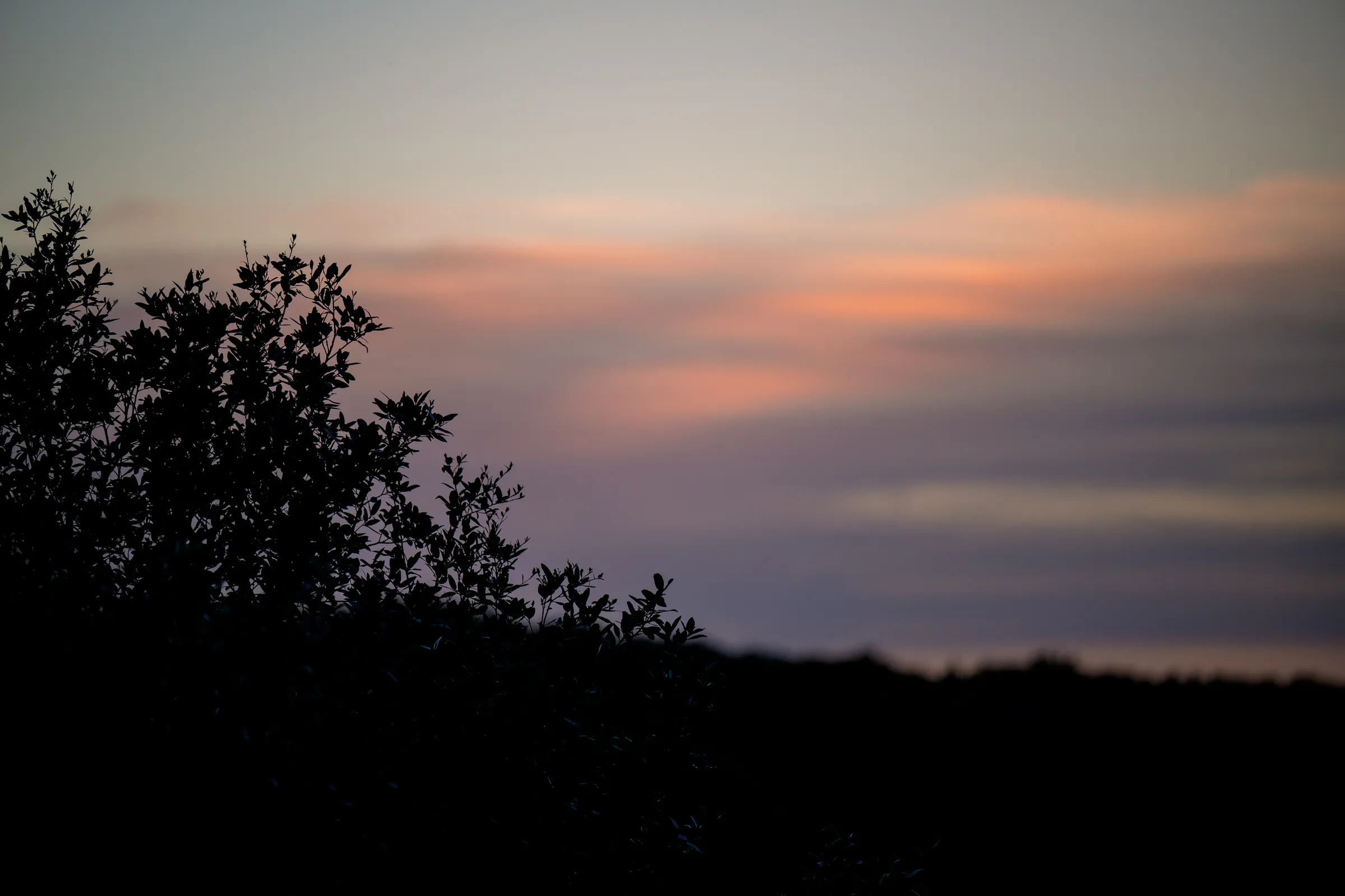 Pink and orange sunset over the Hill Country treeline at Wayside Wimberley