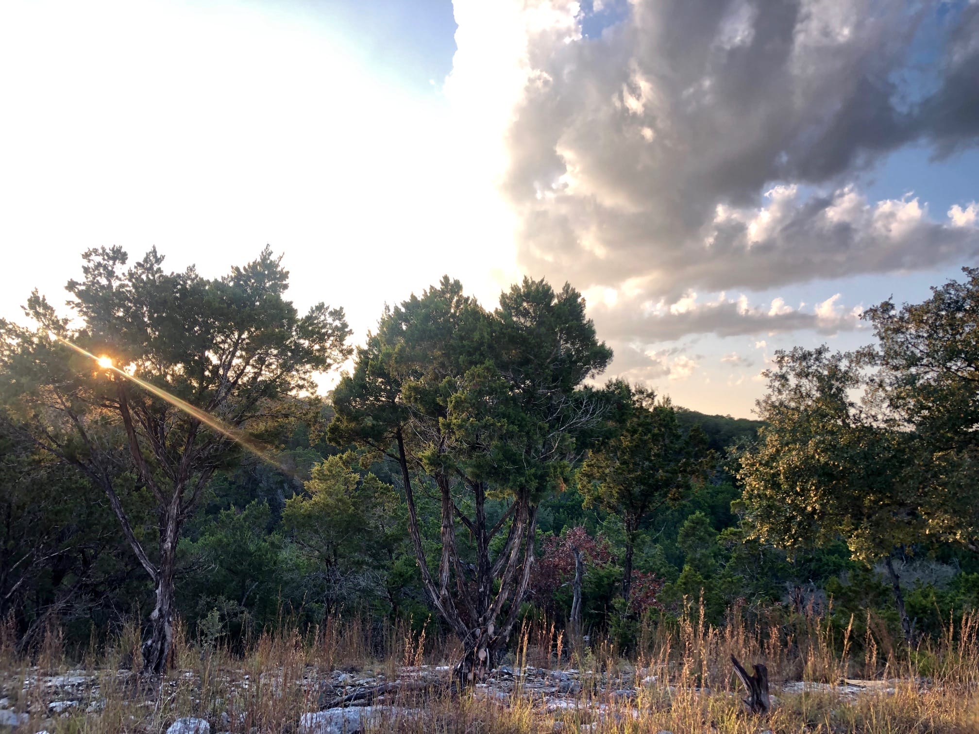 Sunrise over Blanco River canyon at Wayside Wimberley